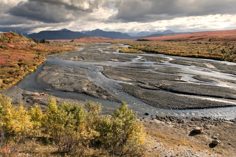 Fall colors frame the Savage River in red, orange, and yellow.