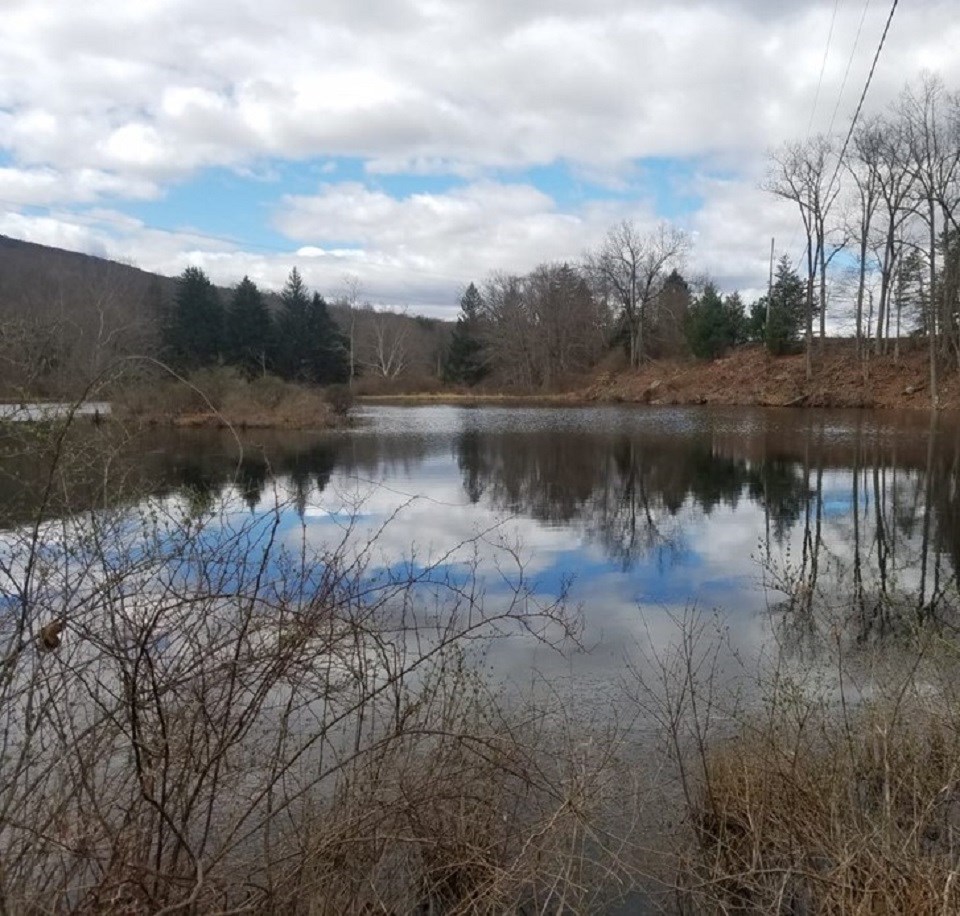One of the ponds at Watergate Recreation Site with trees surrounding the pond. There is a hill in the background that descends towards the right side of the photo. Leafless, brushy plants are in the foreground.