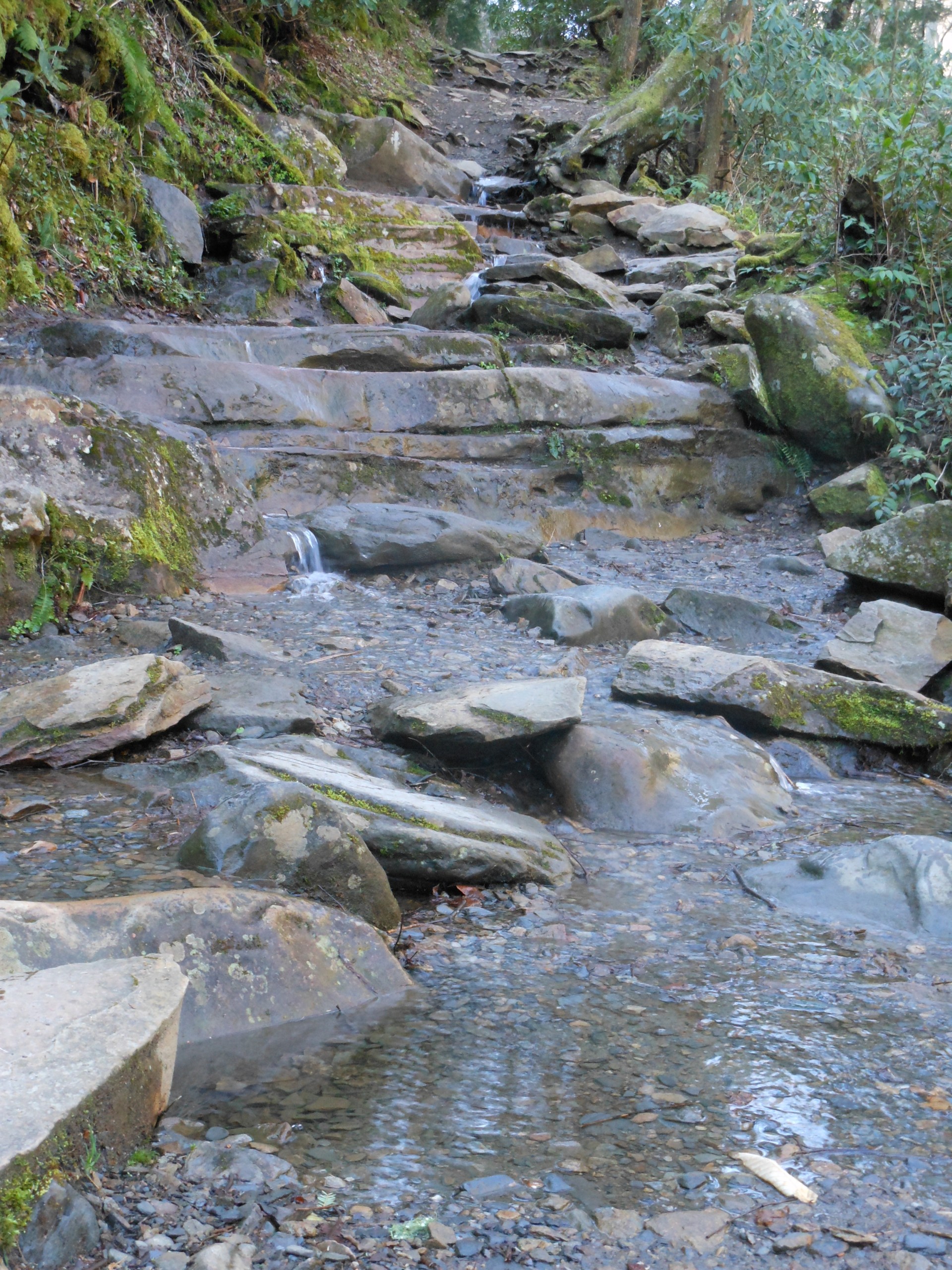 A rocky steep trail with water slowing cascading down it.