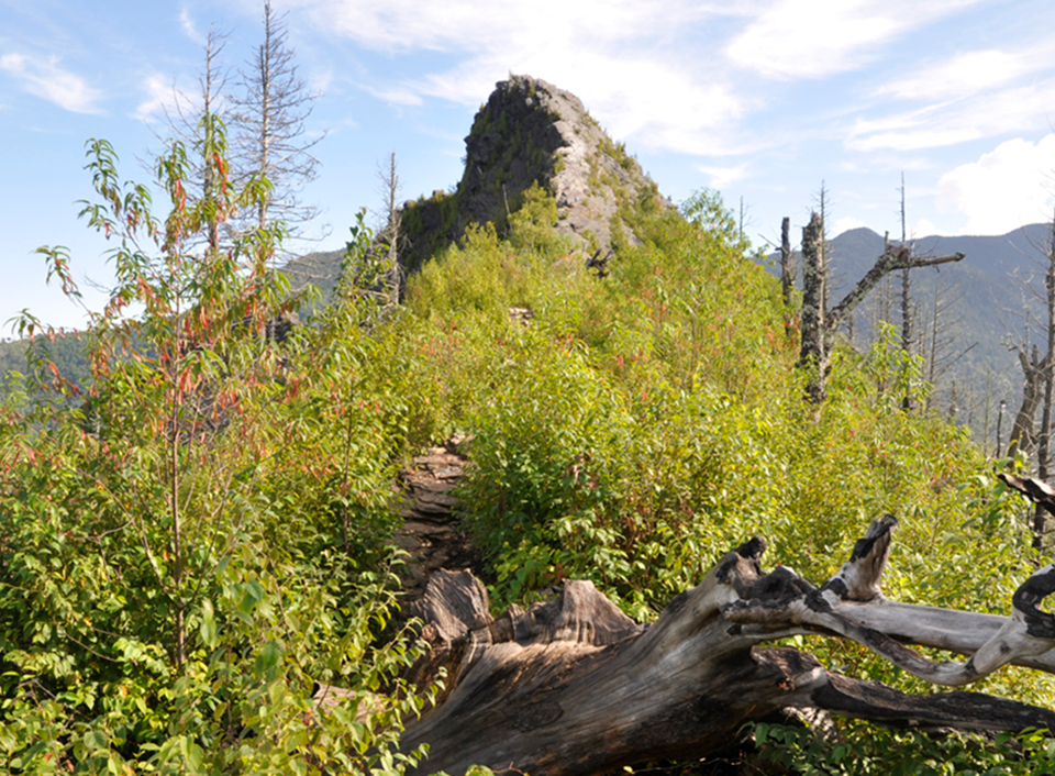 The rocky summit of Chimney Tops 1 sparsely surrounded by dead and burned trees.