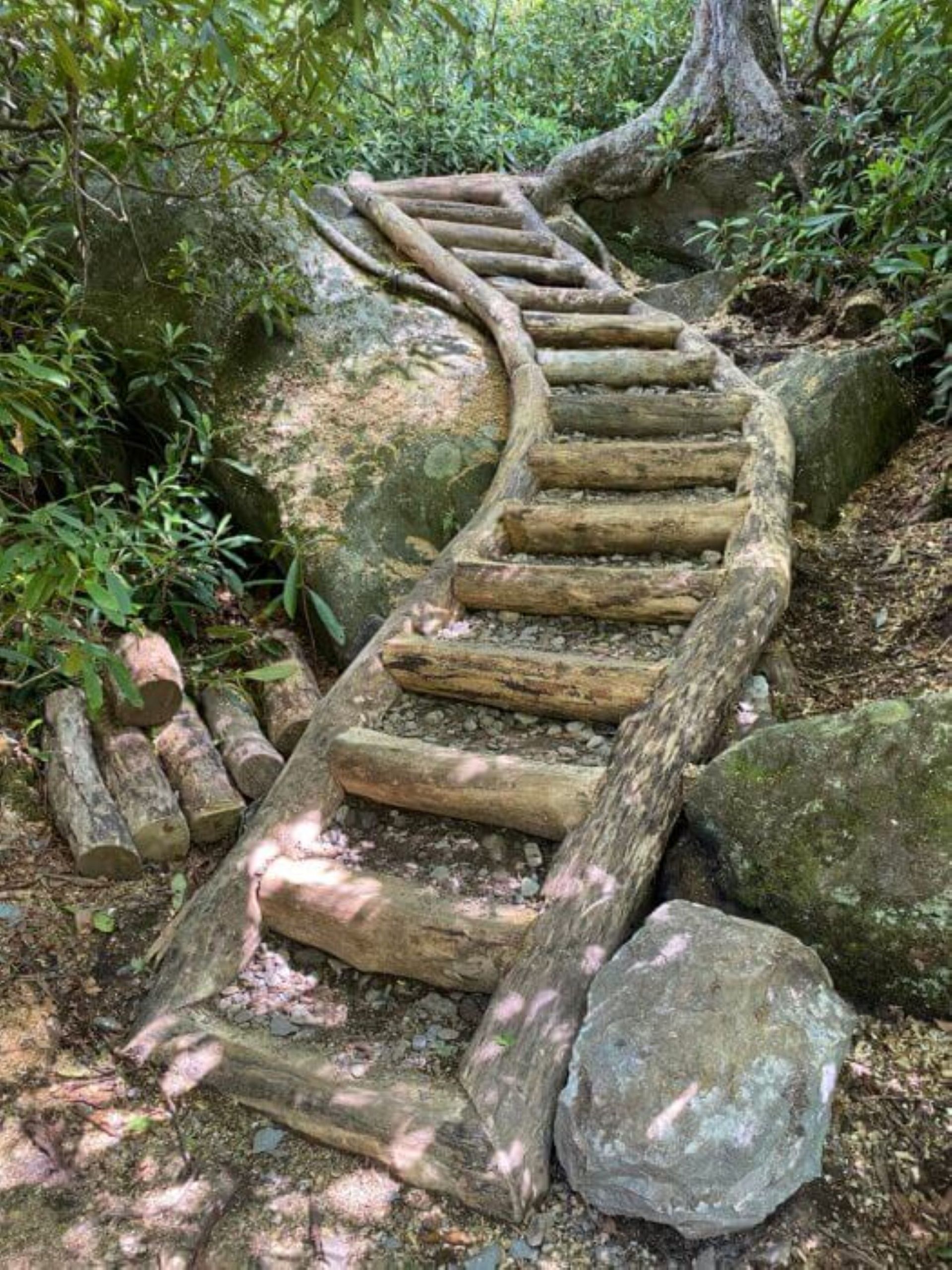 A steep trail of curved rock steps