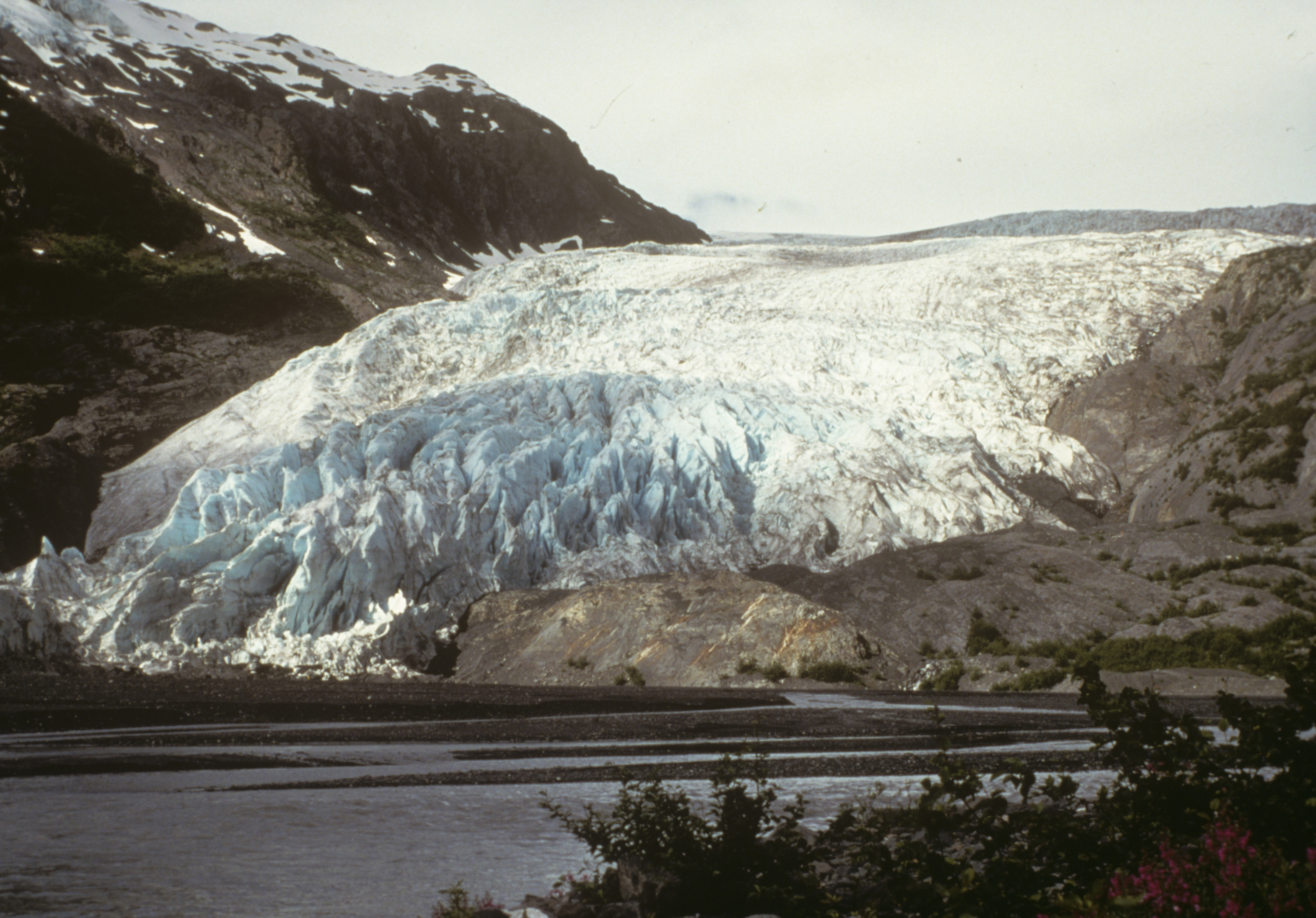 A larger glacier flows down a mountainside with with a large grey river flowing out from it.