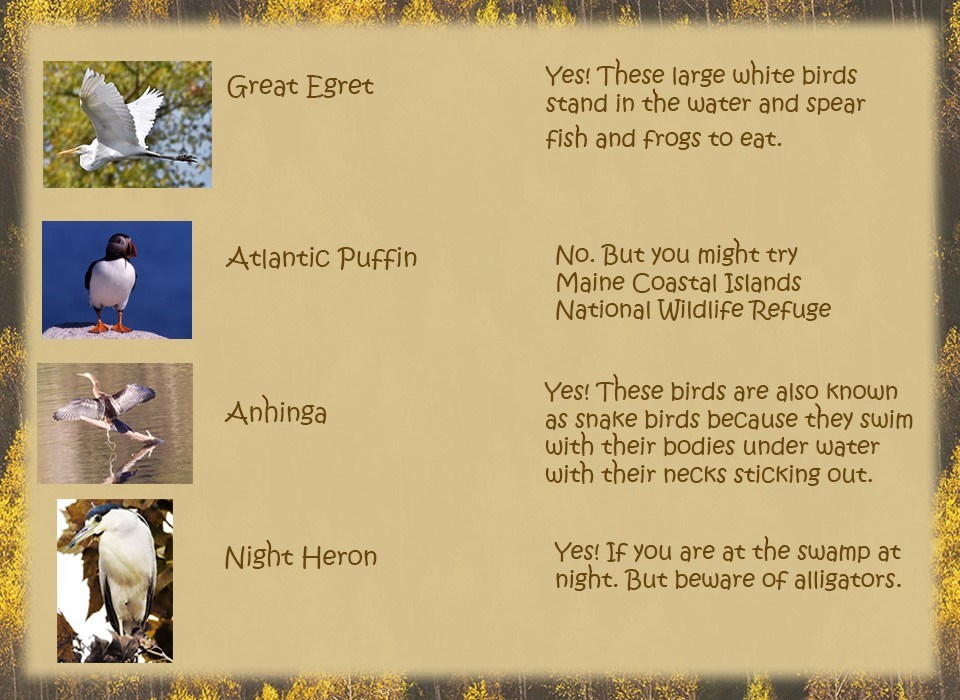 Kids Quiz Nature - Natchez Trace Parkway (. National Park Service) Kids Quiz Nature - Natchez Trace Parkway (. National Park Service)