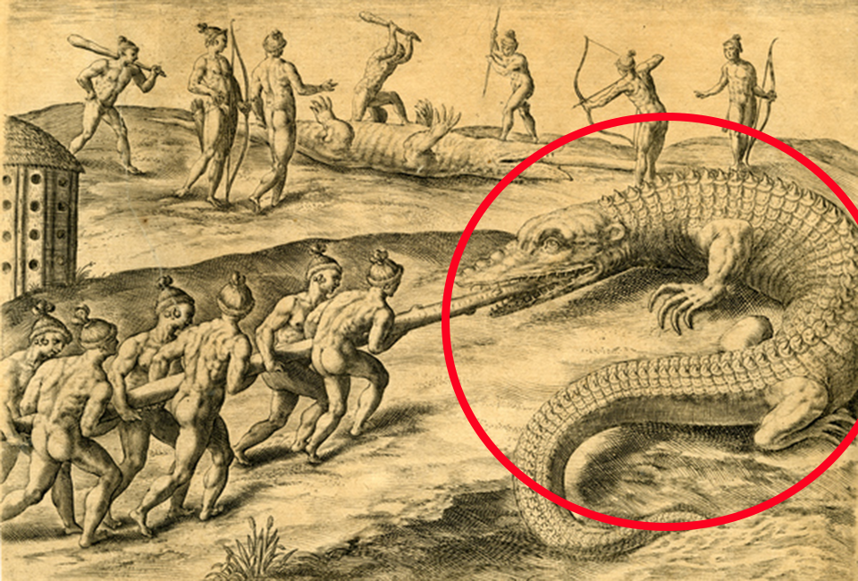 engraving depicting 6 men shoving a pole into the mouth of a crocodile like creature