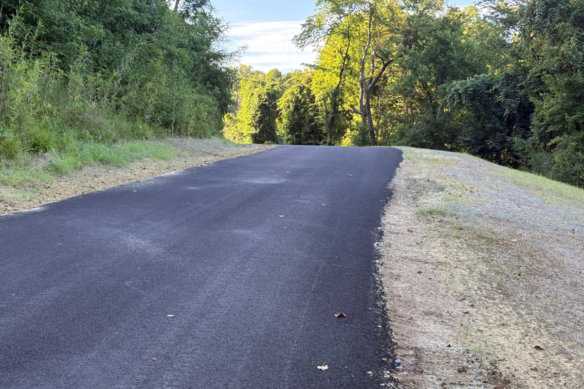 North Union Avenue before repairs, showing severely cracked, buckled, and collapsed pavement along a wooded section of the roadway.