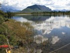 brush-lined lake reflecting a distant mountain