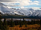 forested landscape with snowy mountains in the distance