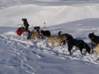 a team of sled dogs in front of a sled where a person is removing equipment