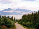 dirt road leading through forest toward distant mountains