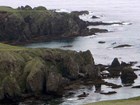 rocky coastline