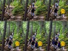composite of six images of a forest with progressively more people