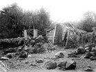 one-story structure surrounded by drying fish in a forest clearing