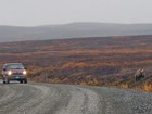 truck on a dirt road near a grizzly bear