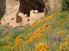 Upper cliff dwelling