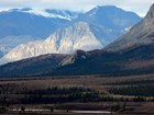 landscape of spruce forests and mountains