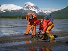 two people digging in a sandy beach