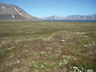 a tree-less landscape leading up to low mountains
