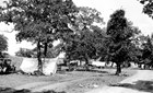 Camping at Central Camp, circa 1933 (Central Campground: CLI, NPS, 2007)