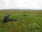 person sitting in a tree-less field