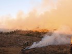 burning wildfire