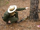 park ranger pointing at a tree trunk that shows signs of fire
