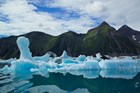 Icebergs from the Bear Glacier (Kenai Fjords National Park, AK)