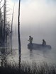 Yellowstone Science 25-1 Native Fish Conservation