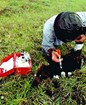 A research bends down with a soil kit to inoculate soil with nitrogen.