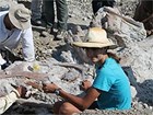Clarissa working in a fossil quarry.