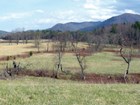 valley with stream