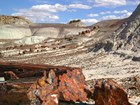 petrified logs on desert landscape