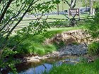 creek flowing through parkland