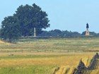parkland and statue