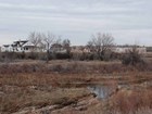 wetlands and fort