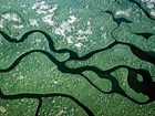 wetlands landscape