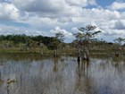 park wetlands