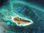 aerial view of island and reef