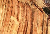 streaks of black desert varnish on a red rock wall