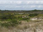 coastal dunes with grass cover