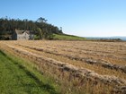 rural park landscape