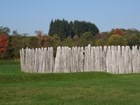 wooden fence and trees