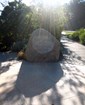AIDS Memorial Grove entrance by Luis Villa del Campo, CC BY 2.0