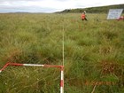 The Kungiakrok burn site is shown five years after the fire. 