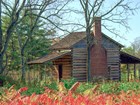 log house in park