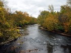 river and trees