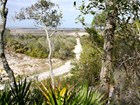 sand trail and plant communities