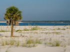 sandy beach