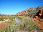Park trail along riverside wetlands