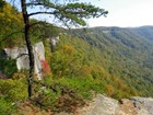 rock outcrop and trees