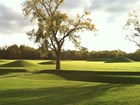 grass covered earthwork mounds 